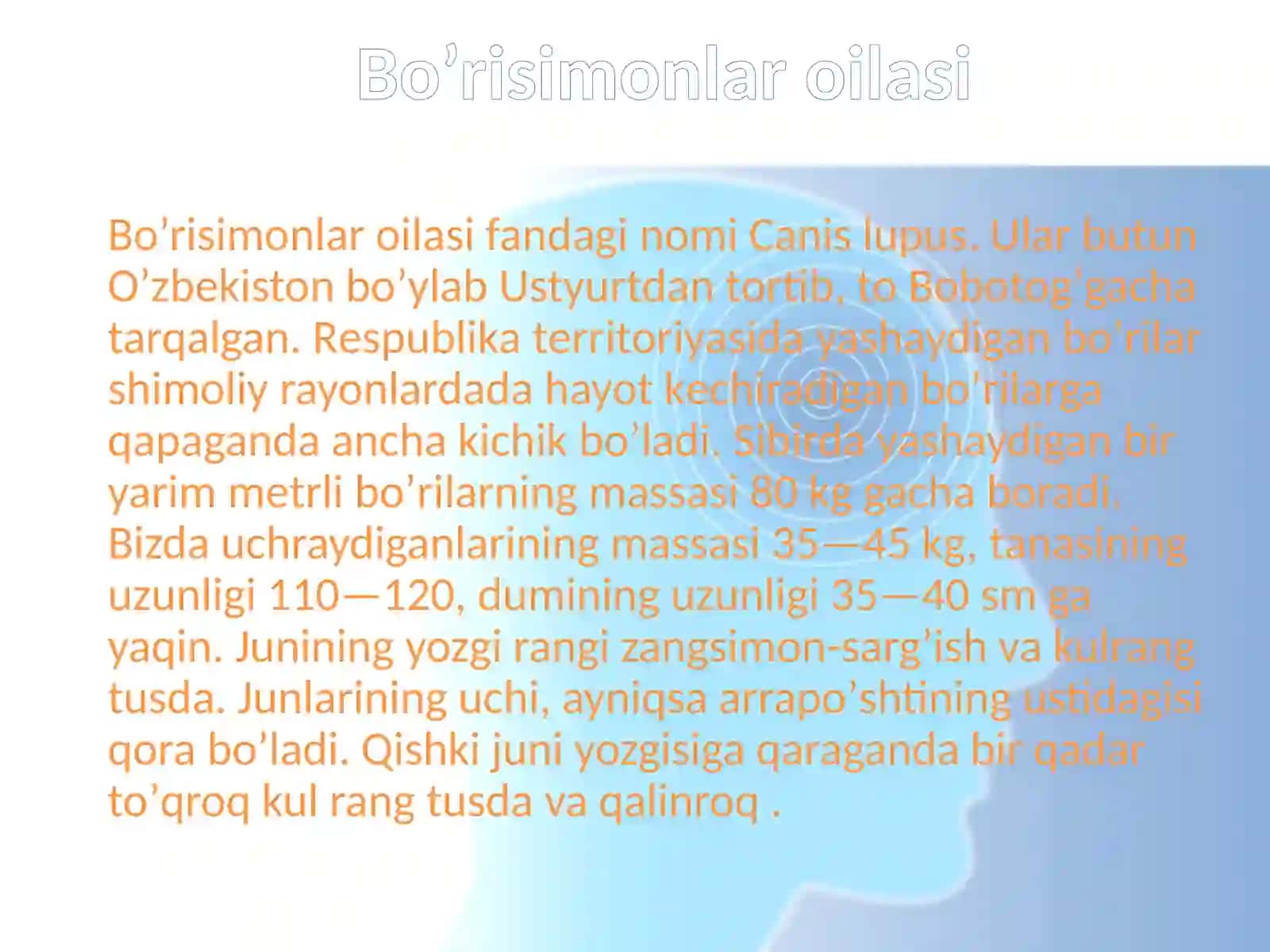 Yirtqich sutemizuvchilar turkumi7-sinflar uchun tayyorlangan 4