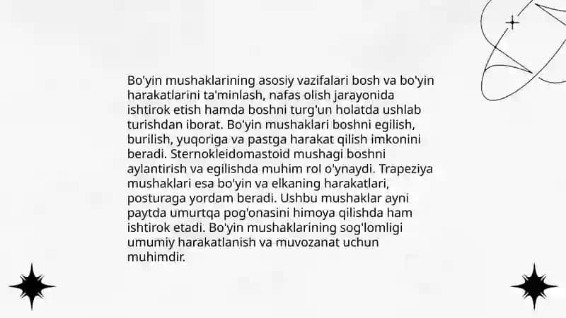 Bo'yin mushaklari 4