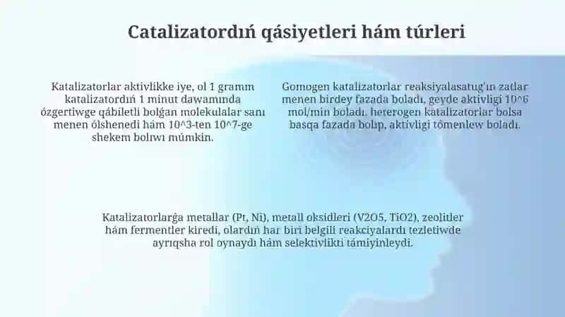 Katalizator 4
