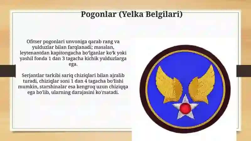 Qozogiston Respublikasi Qurolli kuchlar qoshinlarining farqlovchi nishonlari 4