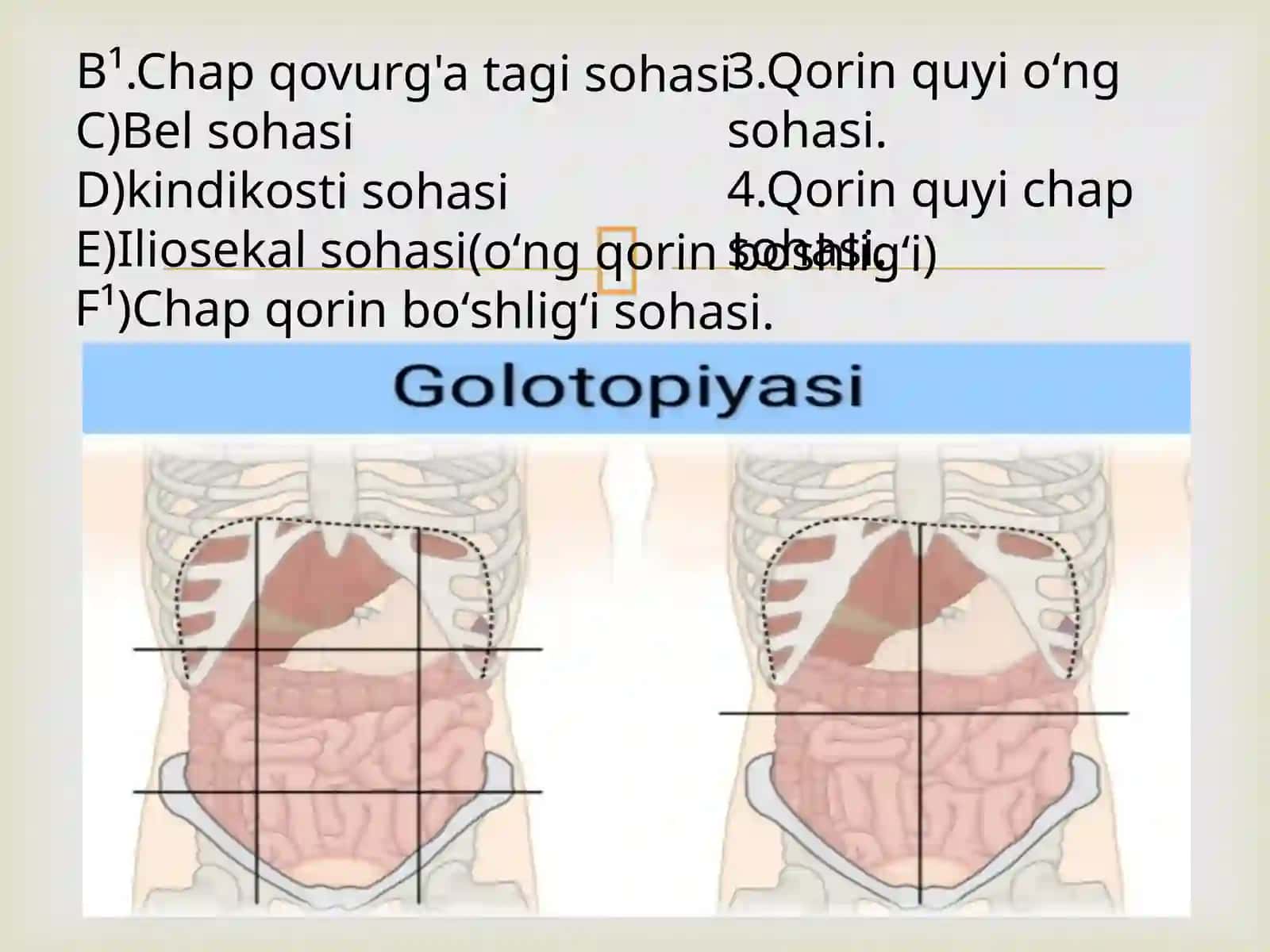 OVQAT HAZM QILISH A‘ZOLARI TIZIMINI BAHOLASH 4