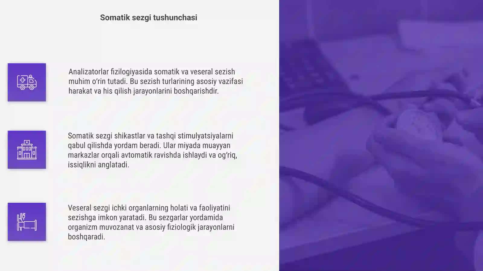 Analizatorlar Fizologiyasi somatik va veseral sezish 4
