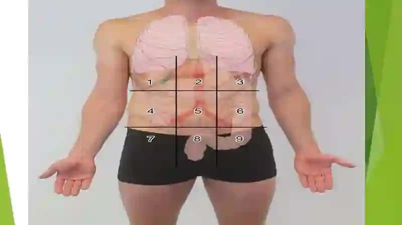 Portalgipertenziya 4