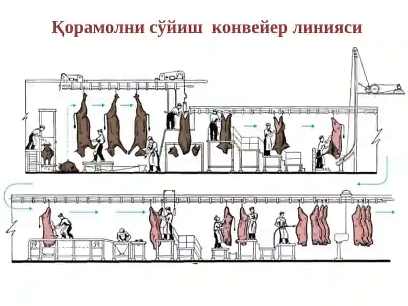 КОЛБАСА МАҲСУЛОТЛАРИ ТЕХНОЛОГИЯСИ 4
