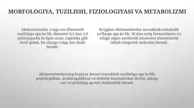 Aktinomitsetlar va ularga yaqin organizmlarni oʻrganish 4