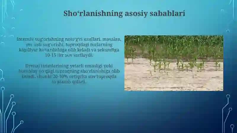 Qoraqalpogʻistonda yer resurslarining shoʻrlanishi: Umumiy koʻrinish 4
