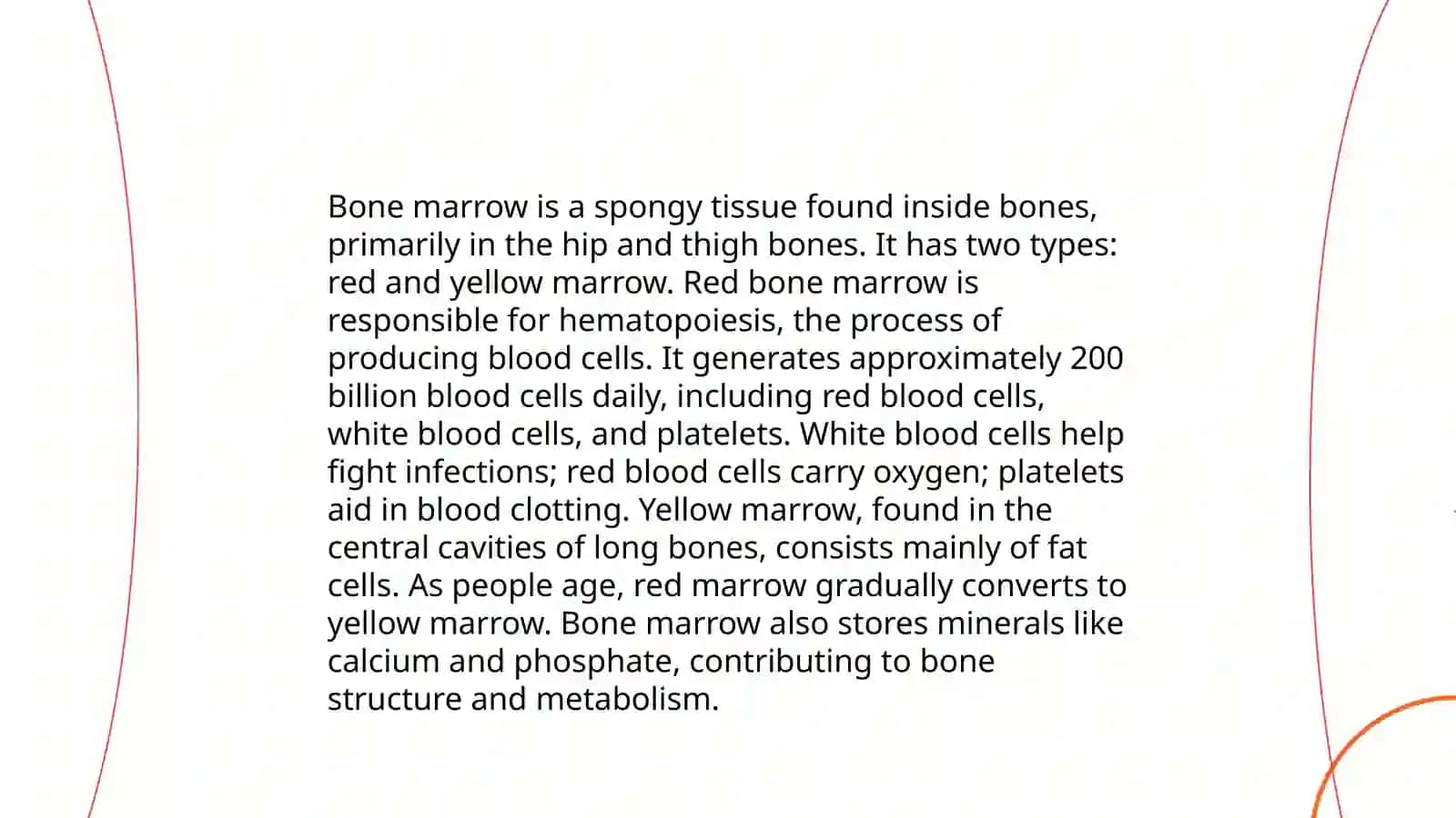 Bones 4