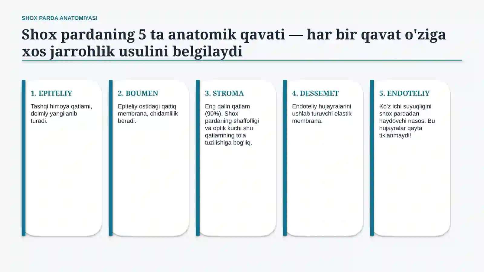 Keratoplastika: turlari va asoratlari | 15 slayd 4