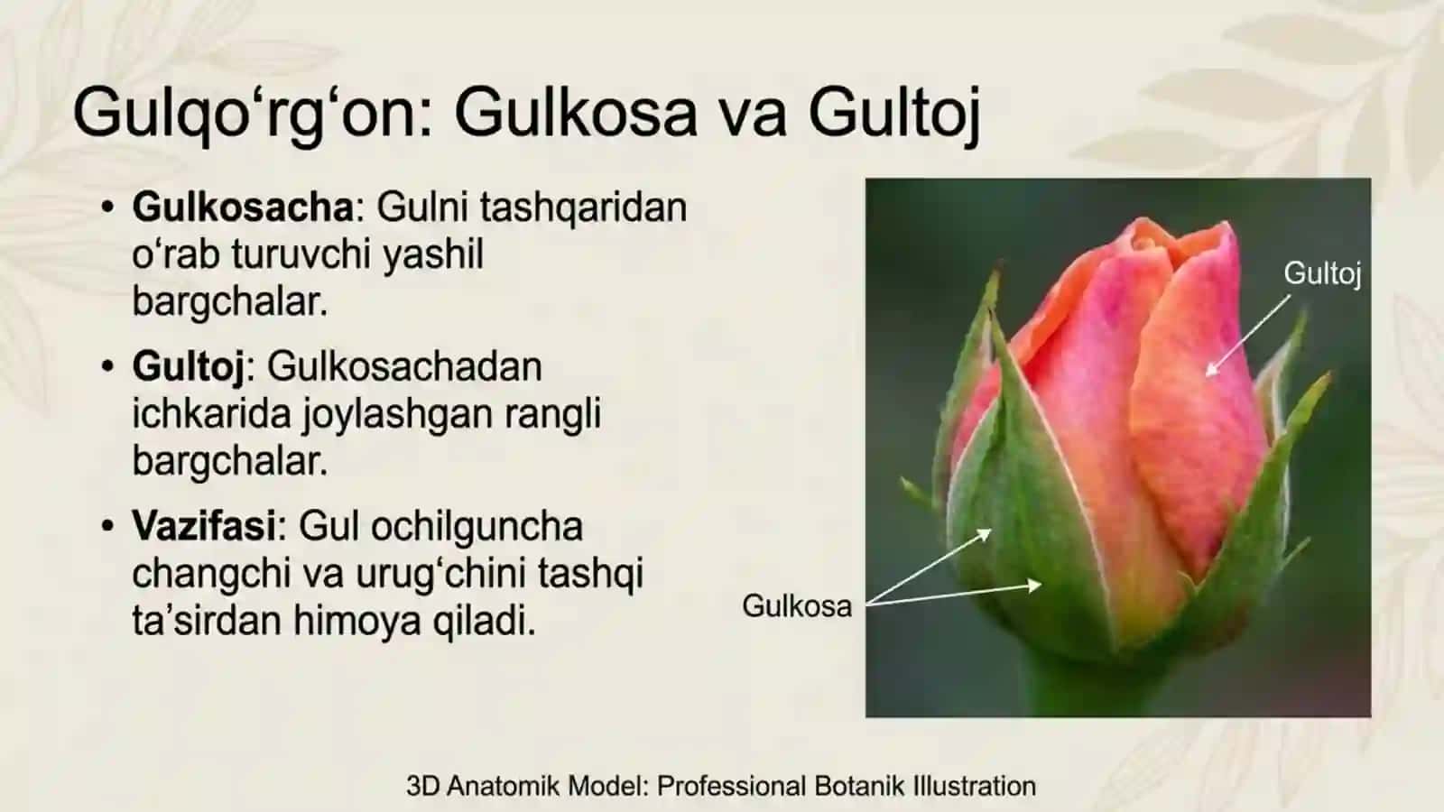 Gul - o'simliklarning generativ ko'payish organi 4