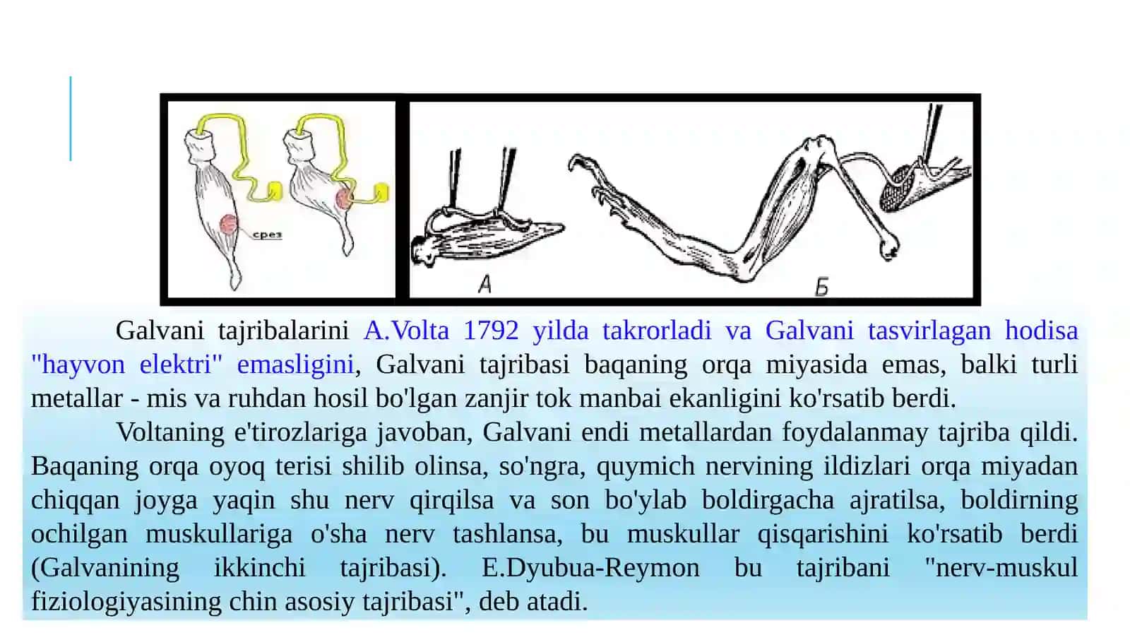 4-MA’RUZA.Nerv tizimi umumiy fiziologiyasining yosh xususiyatlari 4