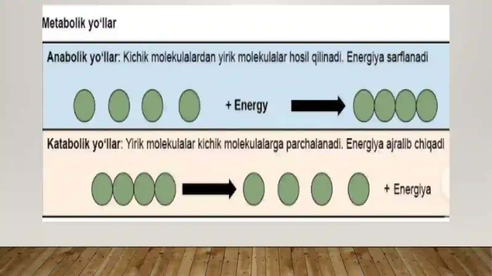 Katabolizmning umumiyyo‘llari 4