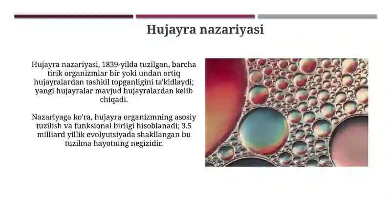 Hujayra Tuzilishi va Hujayra Nazariyasi 4