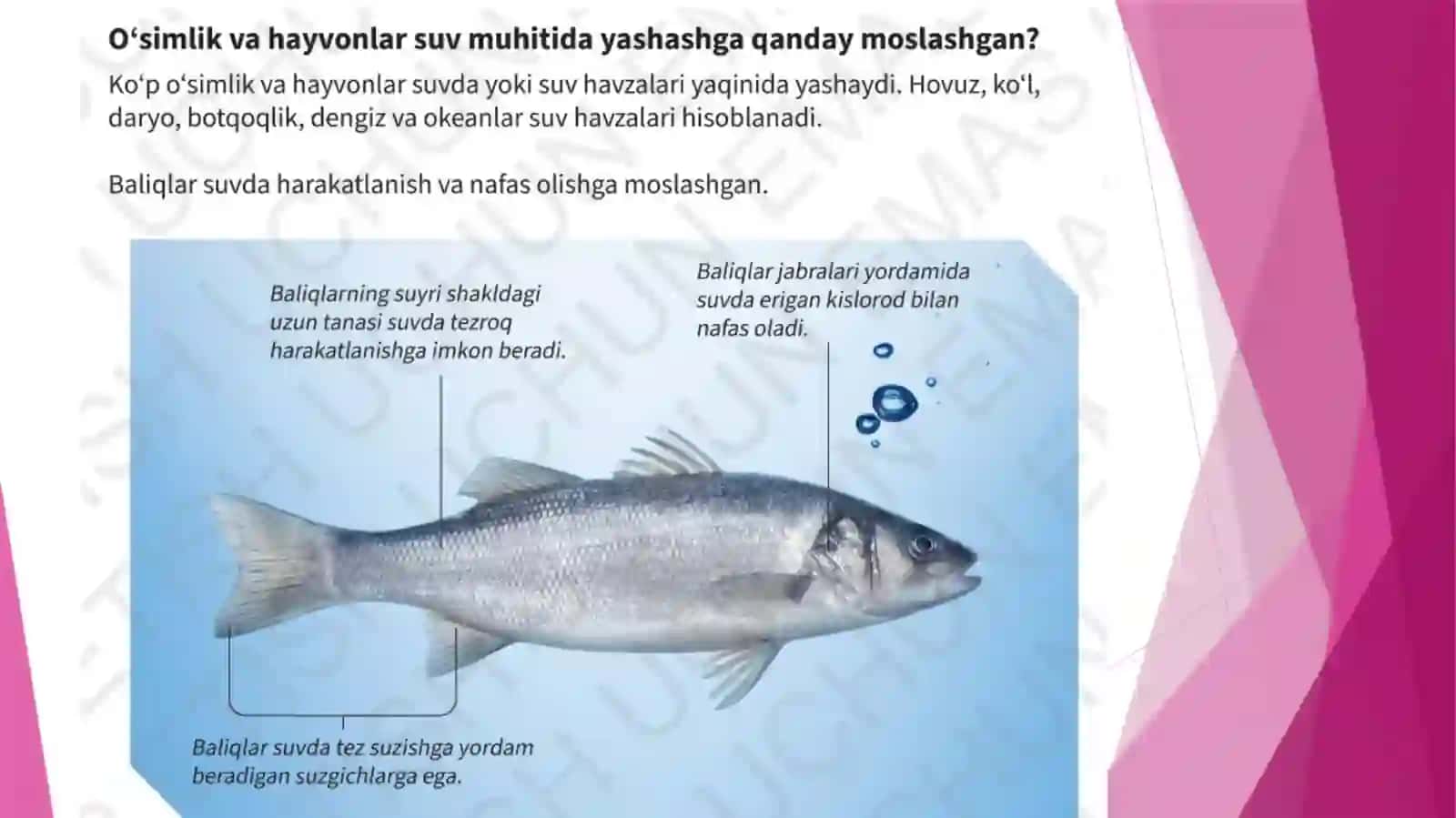 Moslanishlar 4
