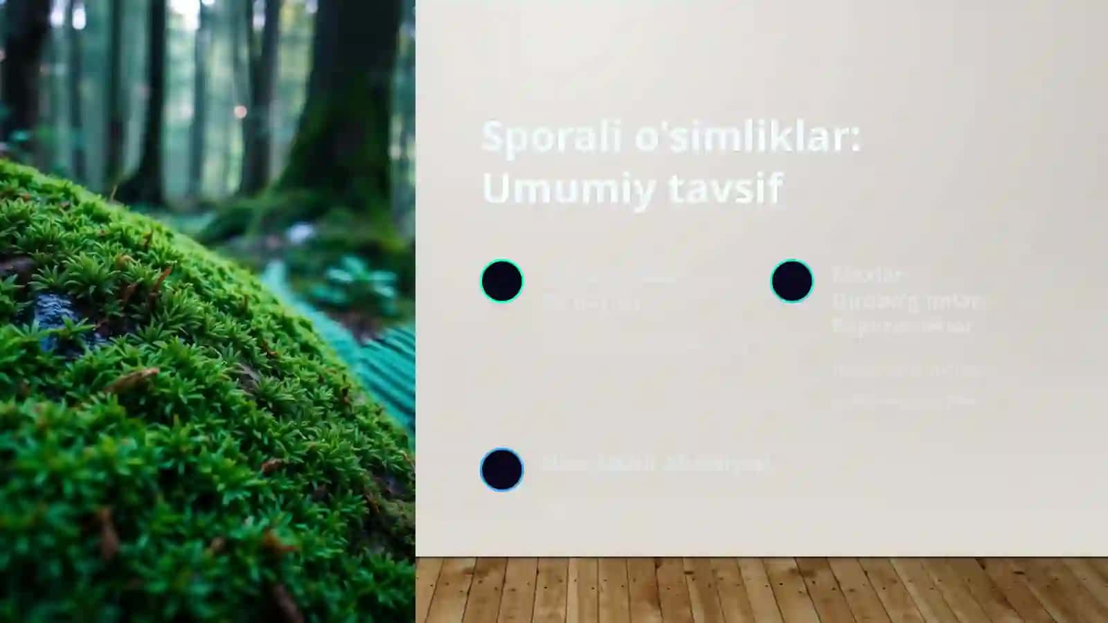 O'simliklarning xilma-xilligi va ahamiyati 4