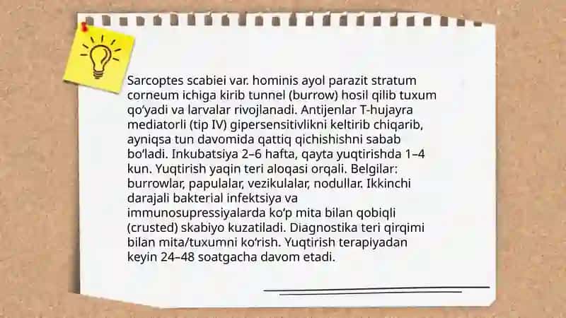 Qo'tir va pedikulyoz (bit) 4