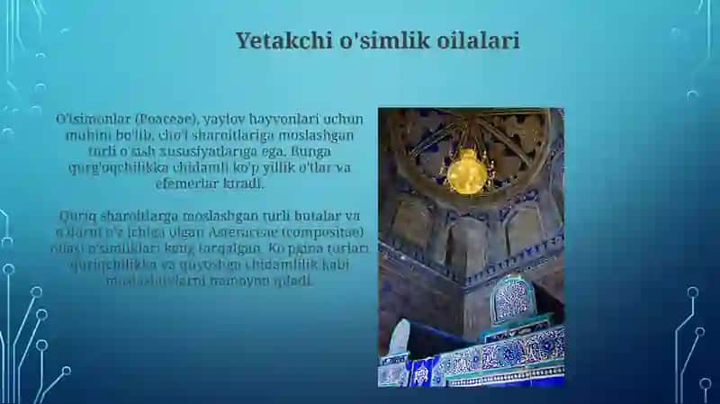Oʻzbekistonning togʻ choʻl dashtlarida oʻsadigan oʻsimliklari 4