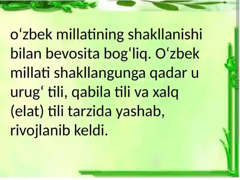 Milliy va adabiy til 4