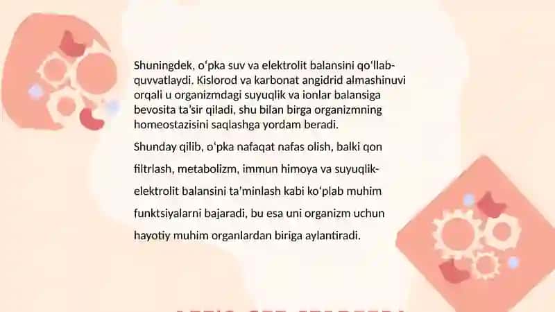 O'pkaning nafasga oid bo'lmagan funksiyalari. Sun'iy nafas 4