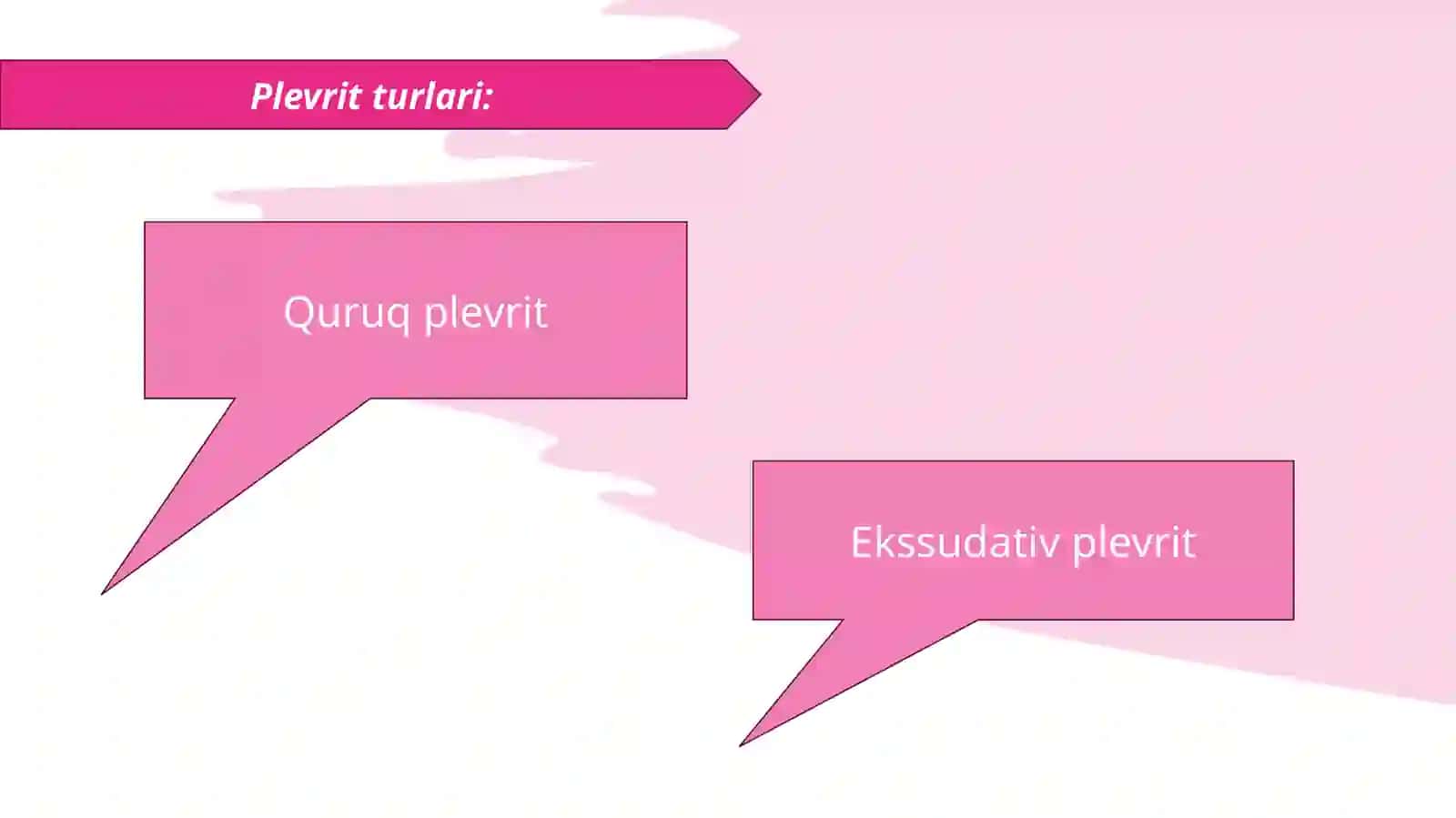 Plevrit 4