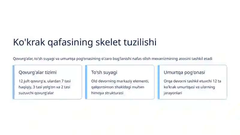 Nafas olish tizimini ko'zdan kechirish: Ko'krak qafasi shakllari va nafas turlari 4