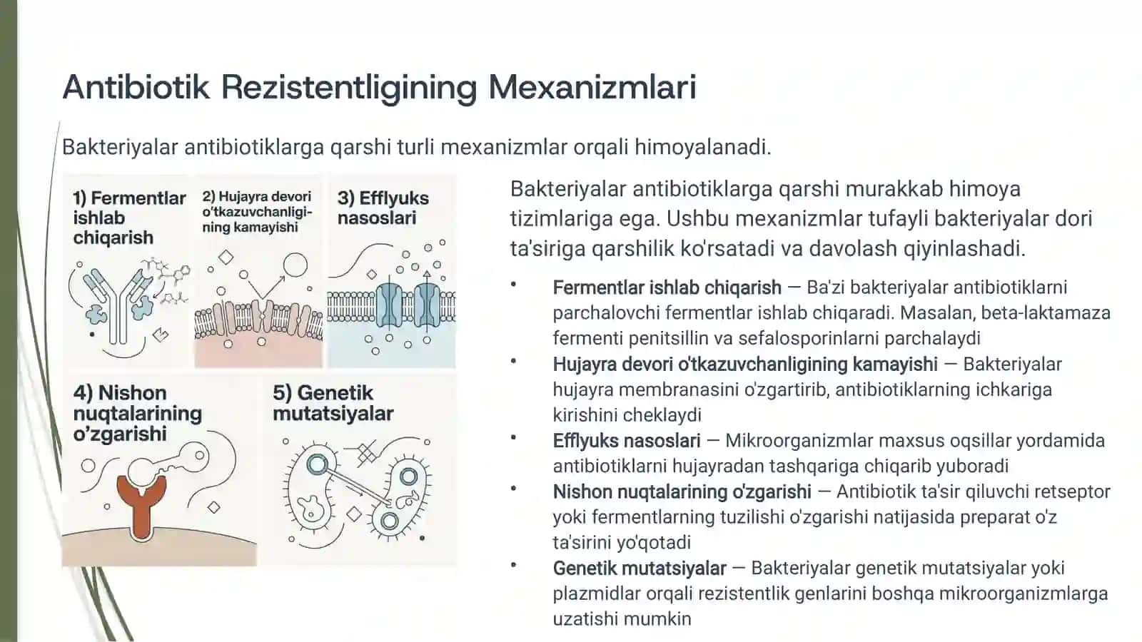 Antibiotiklar rezistentligi va unga qarshi kurashning zamonaviy usullari 4