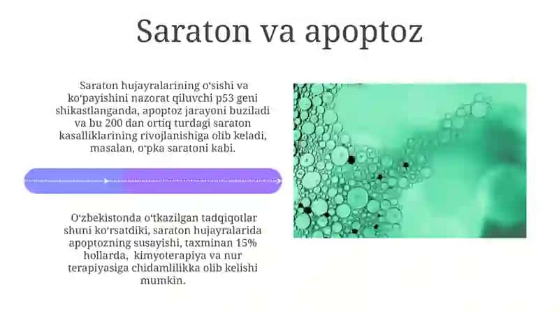 Hujayra apoptozi va uning biologik ahamiyati 4