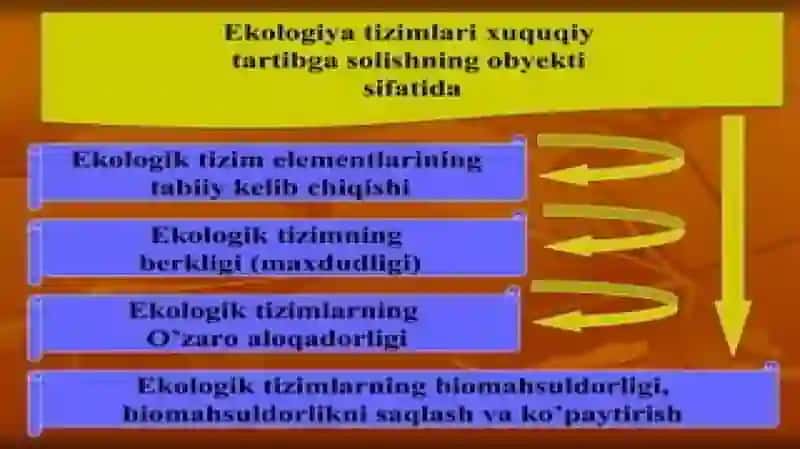 Atrofmuhitniqadirlash 4