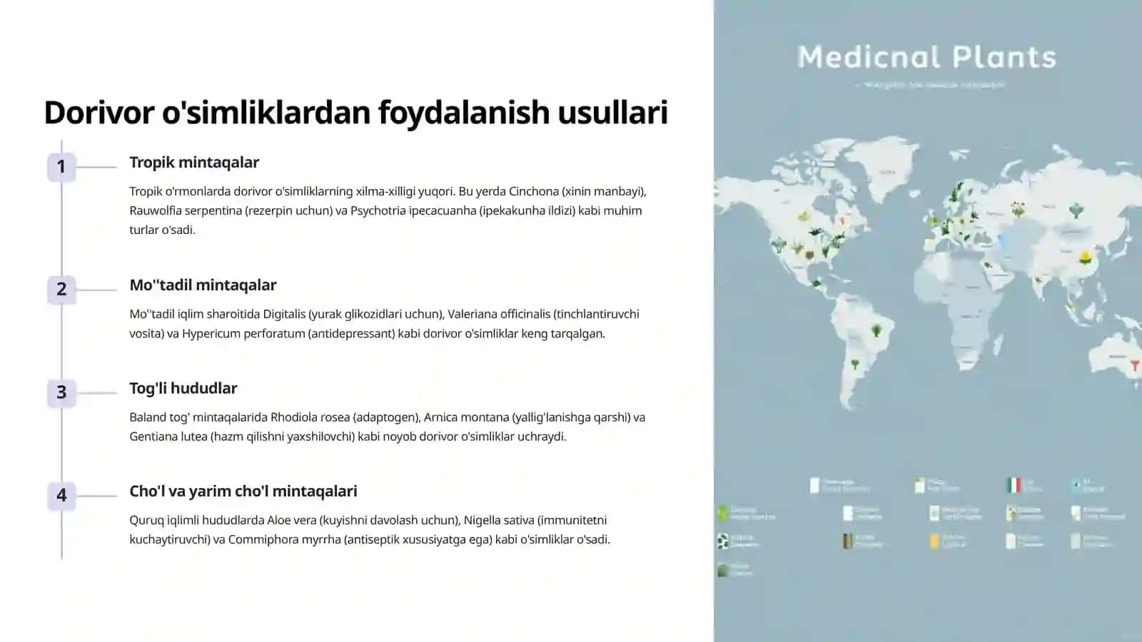 Dorivor o'simliklarning floristik tahlili 4