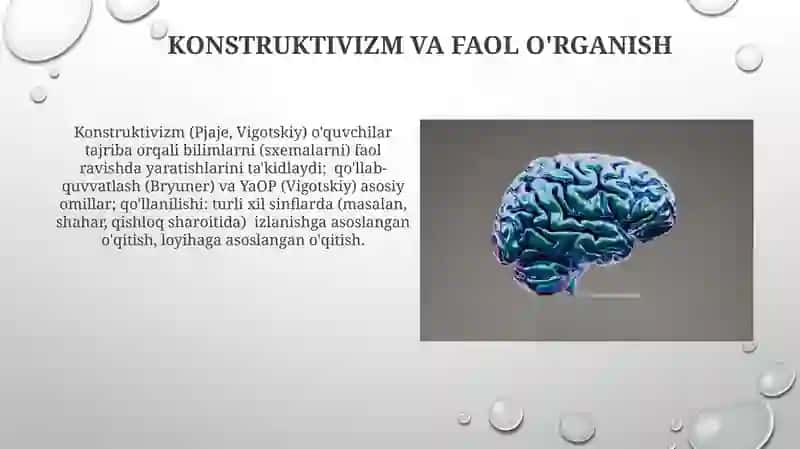 Psixologiya nazariyalari va uning pedogogik psixologiya rivojlanishiga taʼsiri 4