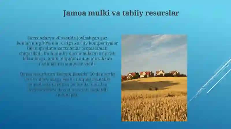 Tabiiy resurslarga boʻlgan mulk huquqining xususiyatlari 4