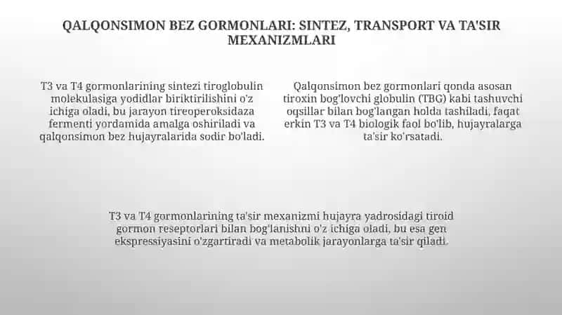 Qalqonsimonbezfunksiyalari 4