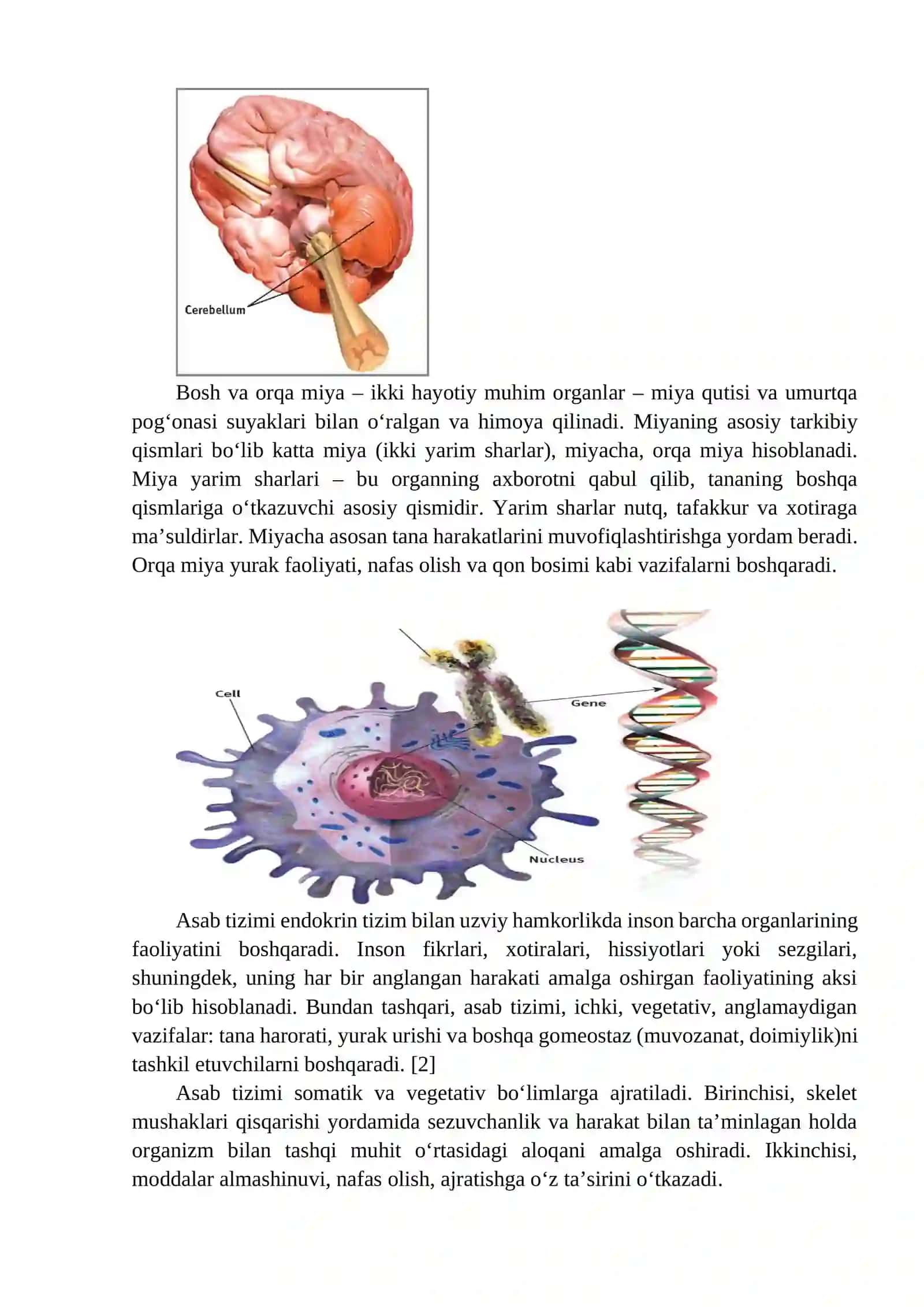 HULQ-ATVORNING PSIXOFOZIOLOGIK ASOSI 4