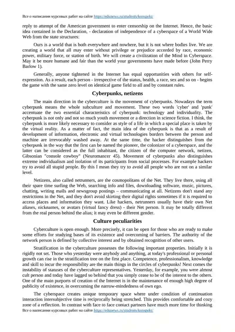 Net Culture 4