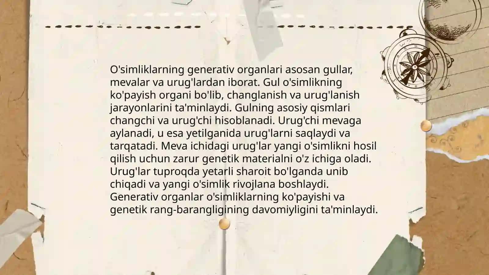 O'simliklar 4