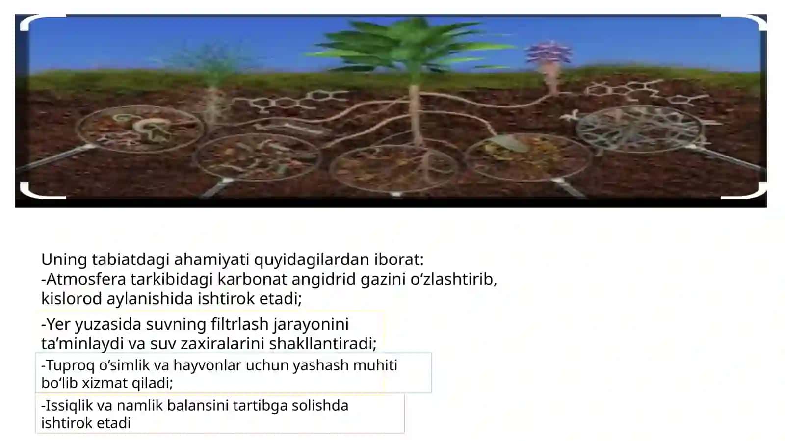 Tuproq tarkibi(14slayd) 4