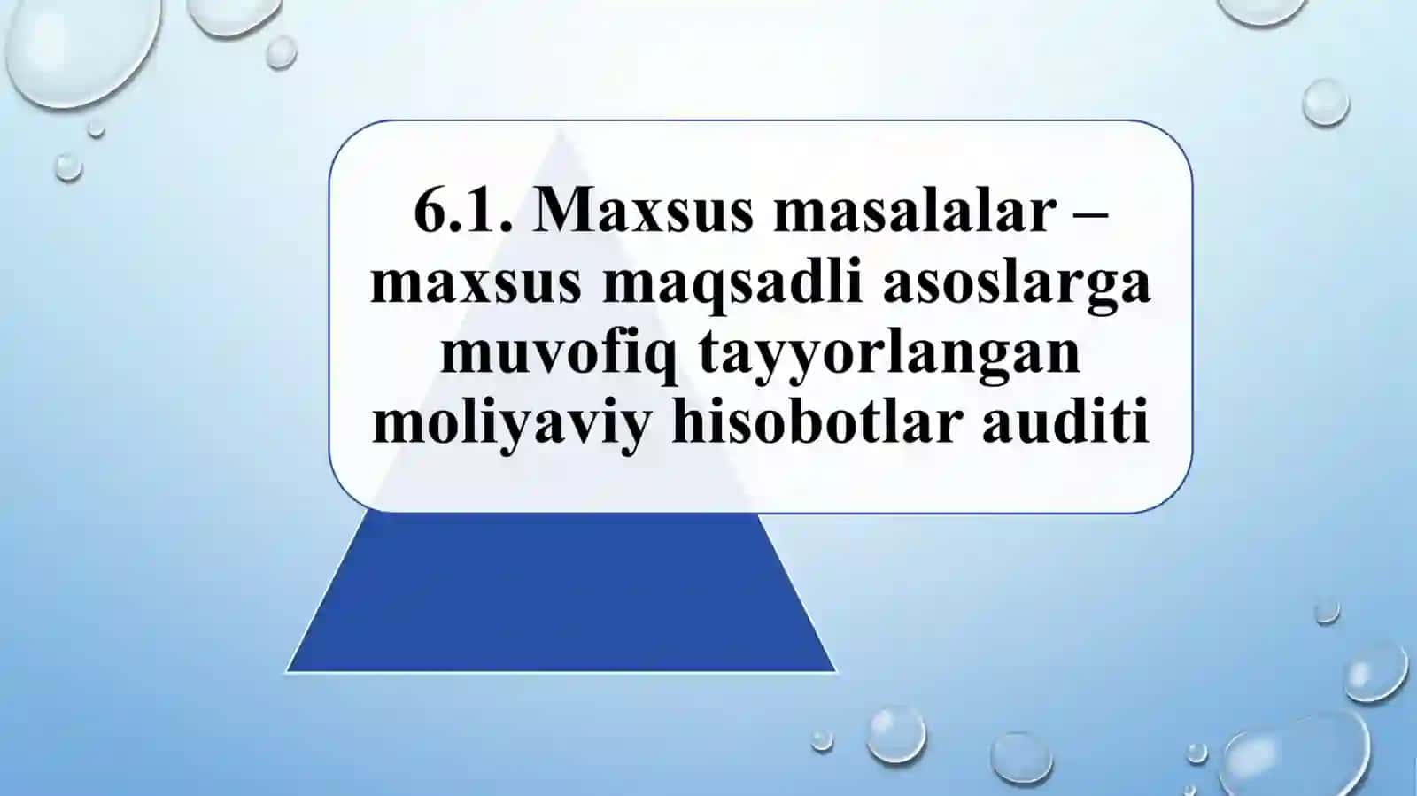 МАХСУС МАҚСАДЛИ АСОСЛАРГА МУВОФИҚ ТАЙЁРЛАНГАН МОЛИЯВИЙ ҲИСОБОТЛАР АУДИТИ 4