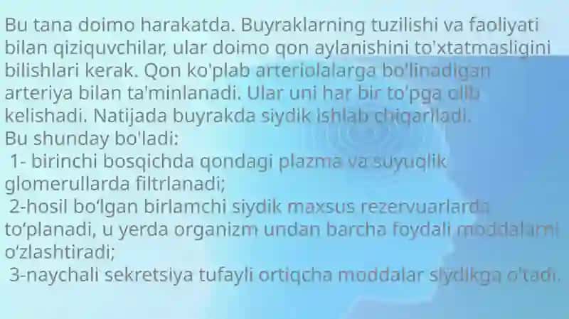 Bolalarda buyraklarni anatomo–fiziologik hususiyatlari 4