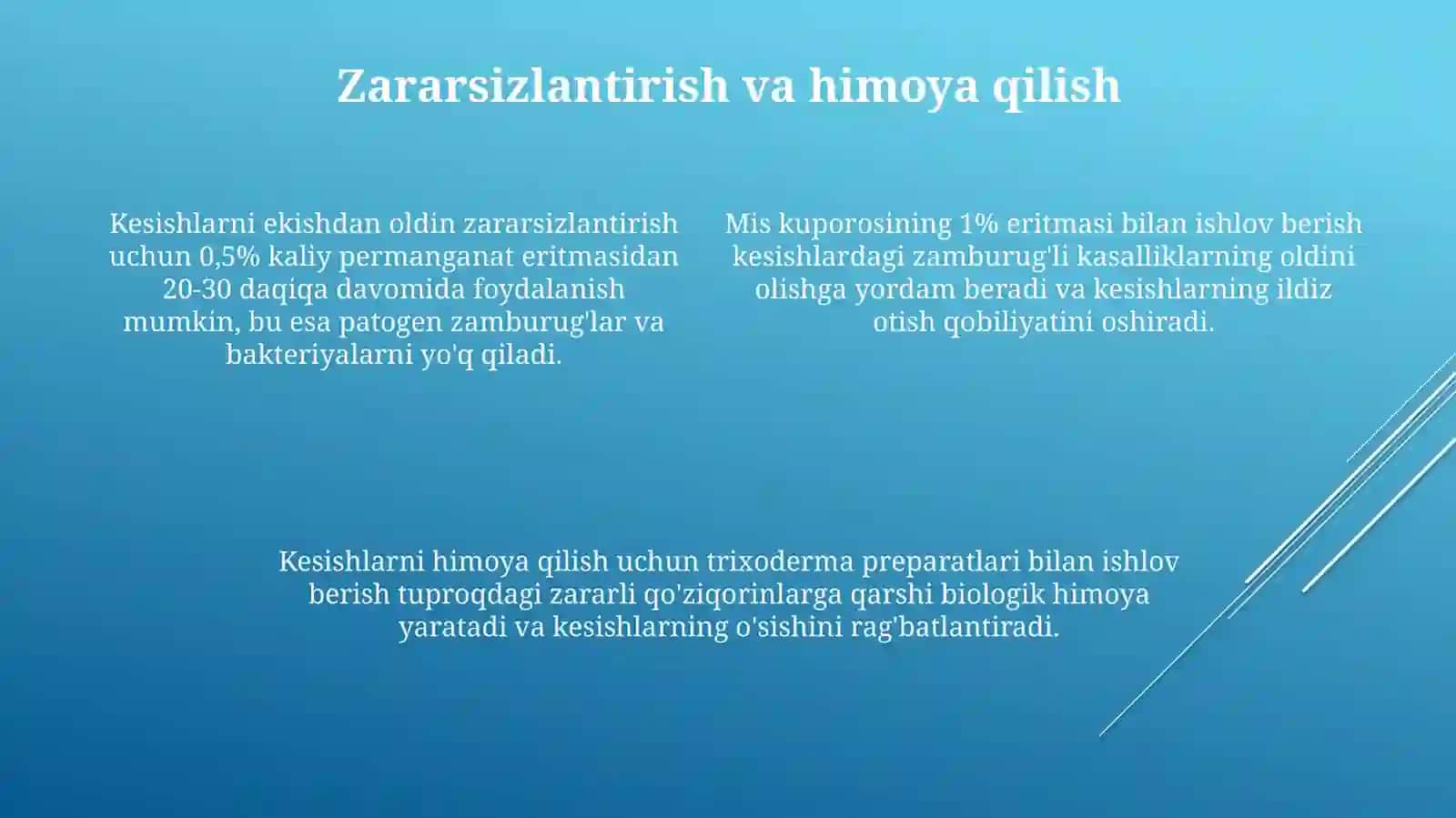 Tok qalamchalarini ekishdan oldin ishlov berish usullari 4