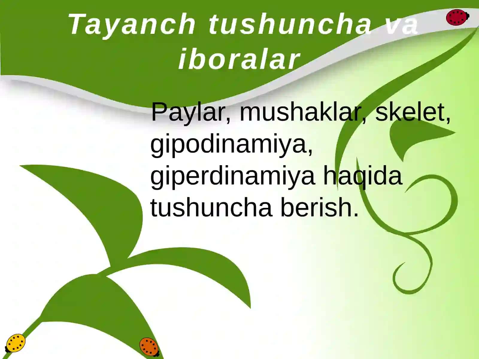 Tayanch harakat apparati 4