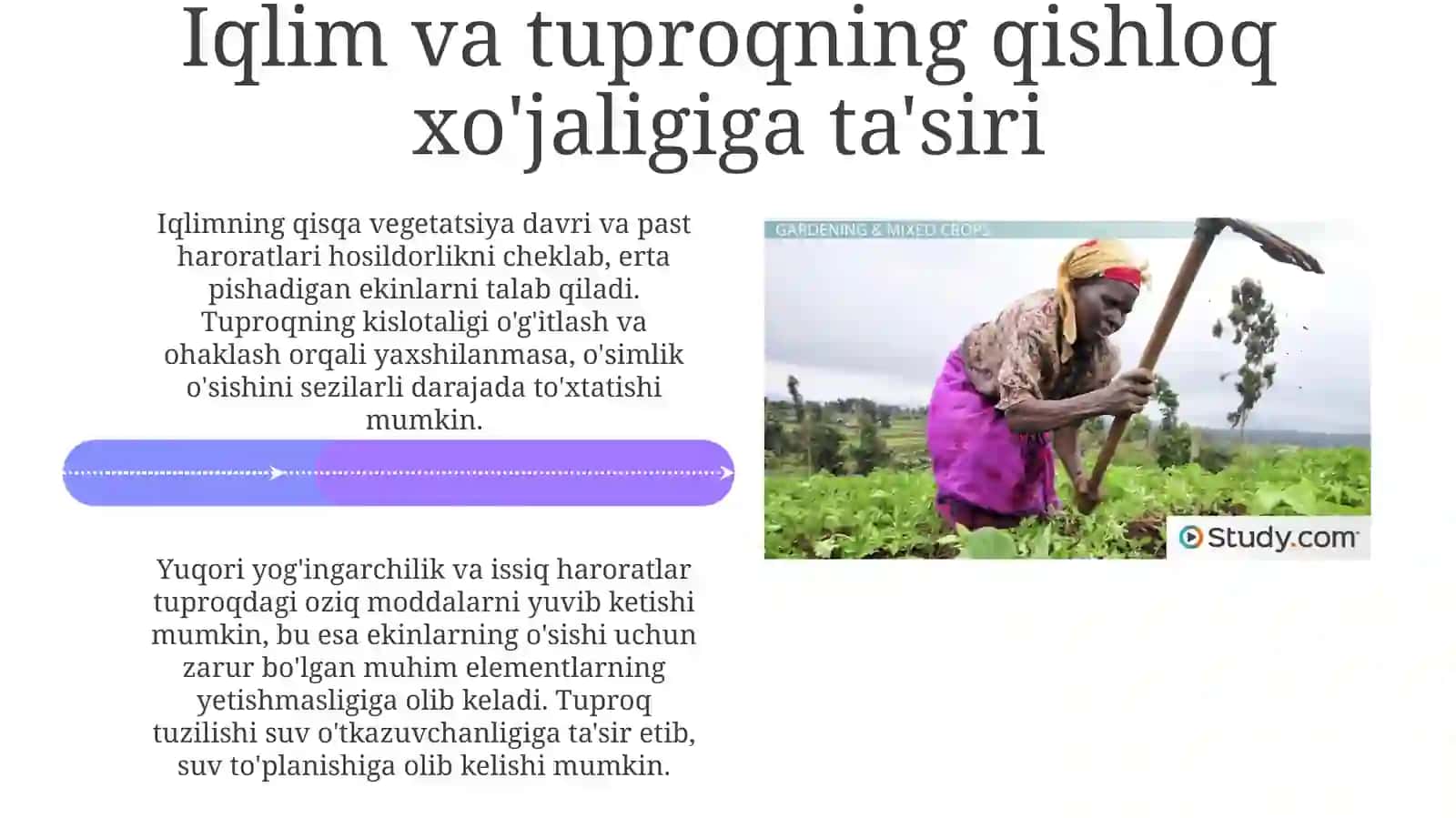 Sanoat va qishloq xo'jaligining geografik omillari 4