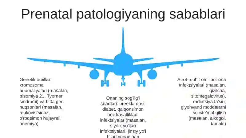 Prenatal Patalogiya 4