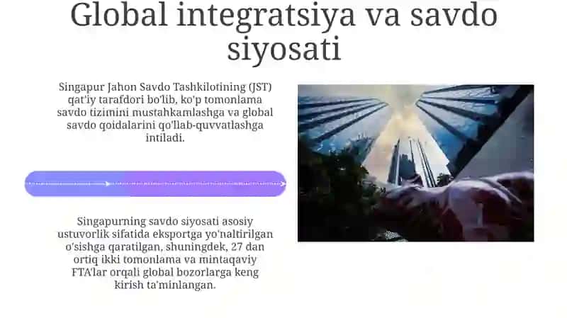 Singapor iqtisodiy siyosati 4
