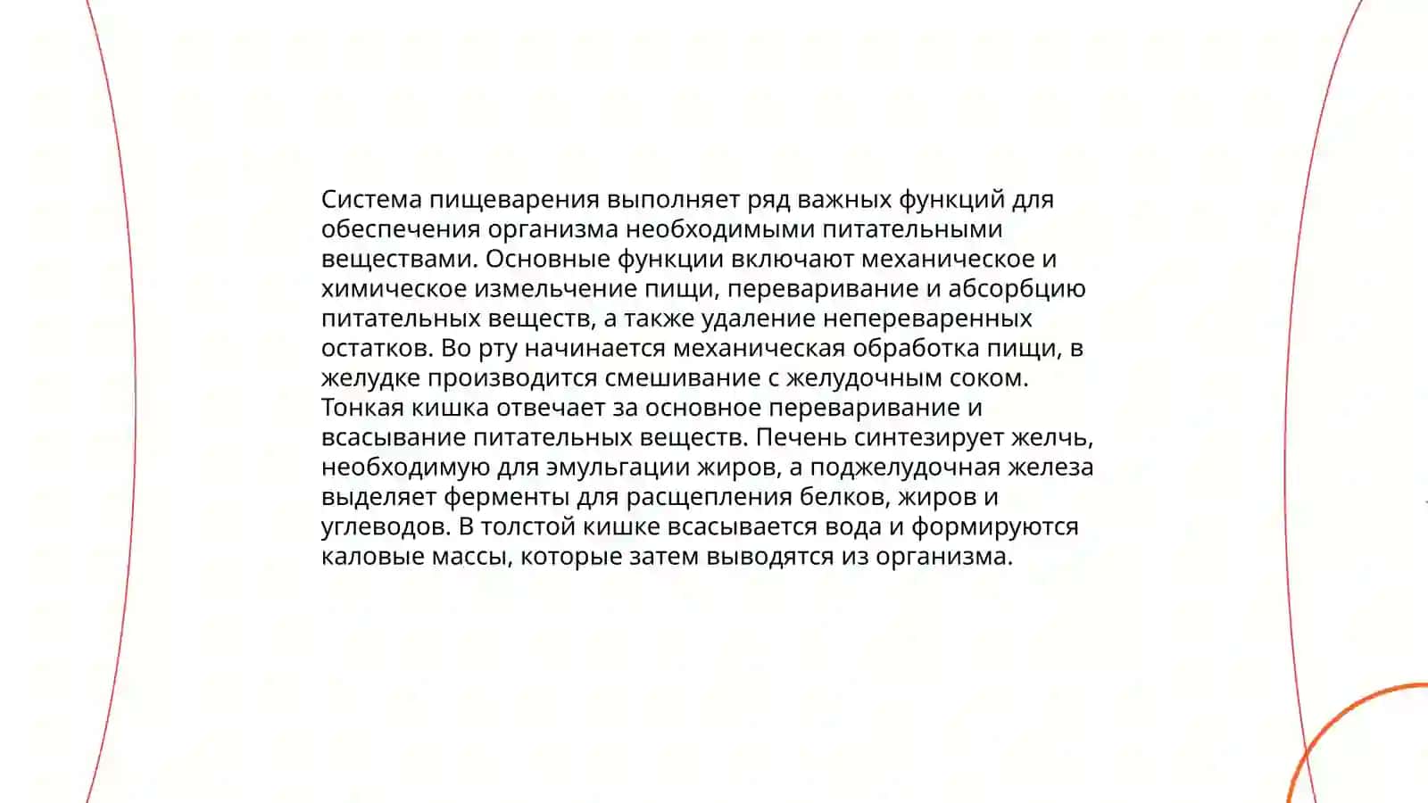 Система пищеварения 4