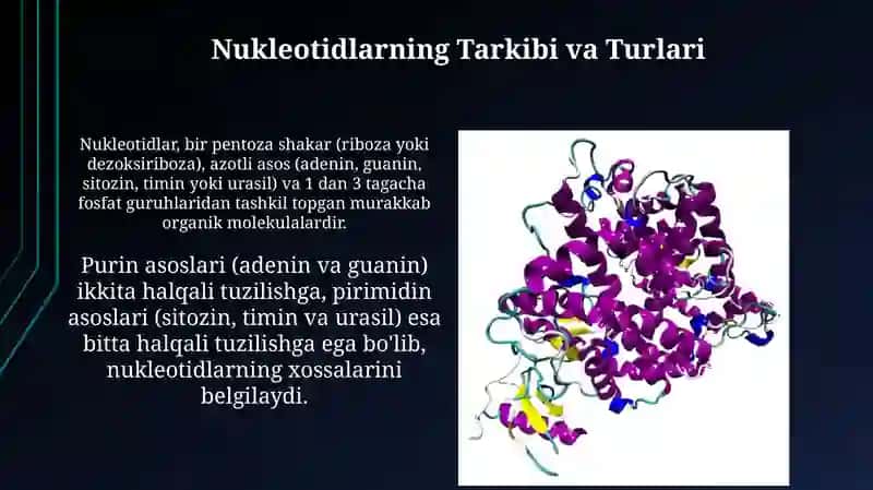 Nukleosidlar va Nukleotidlarning Xususiyatlari 4