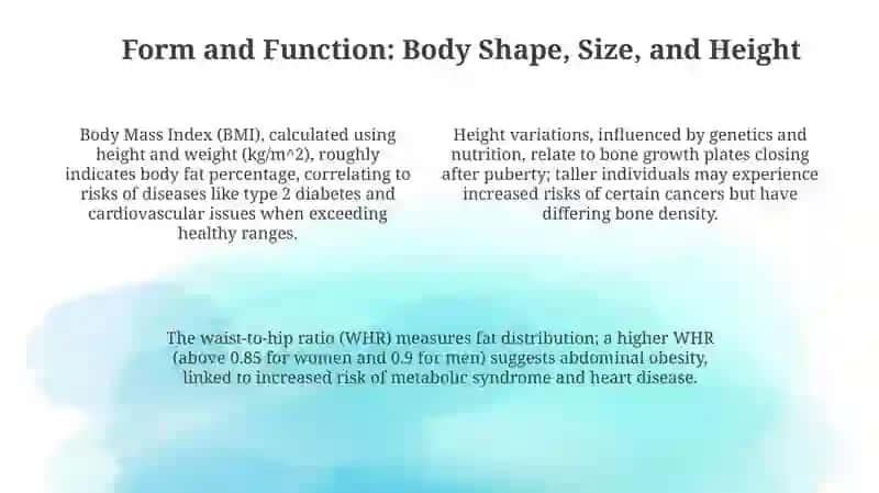The Spectrum of Human Appearance: Diversity and Dimensions 4