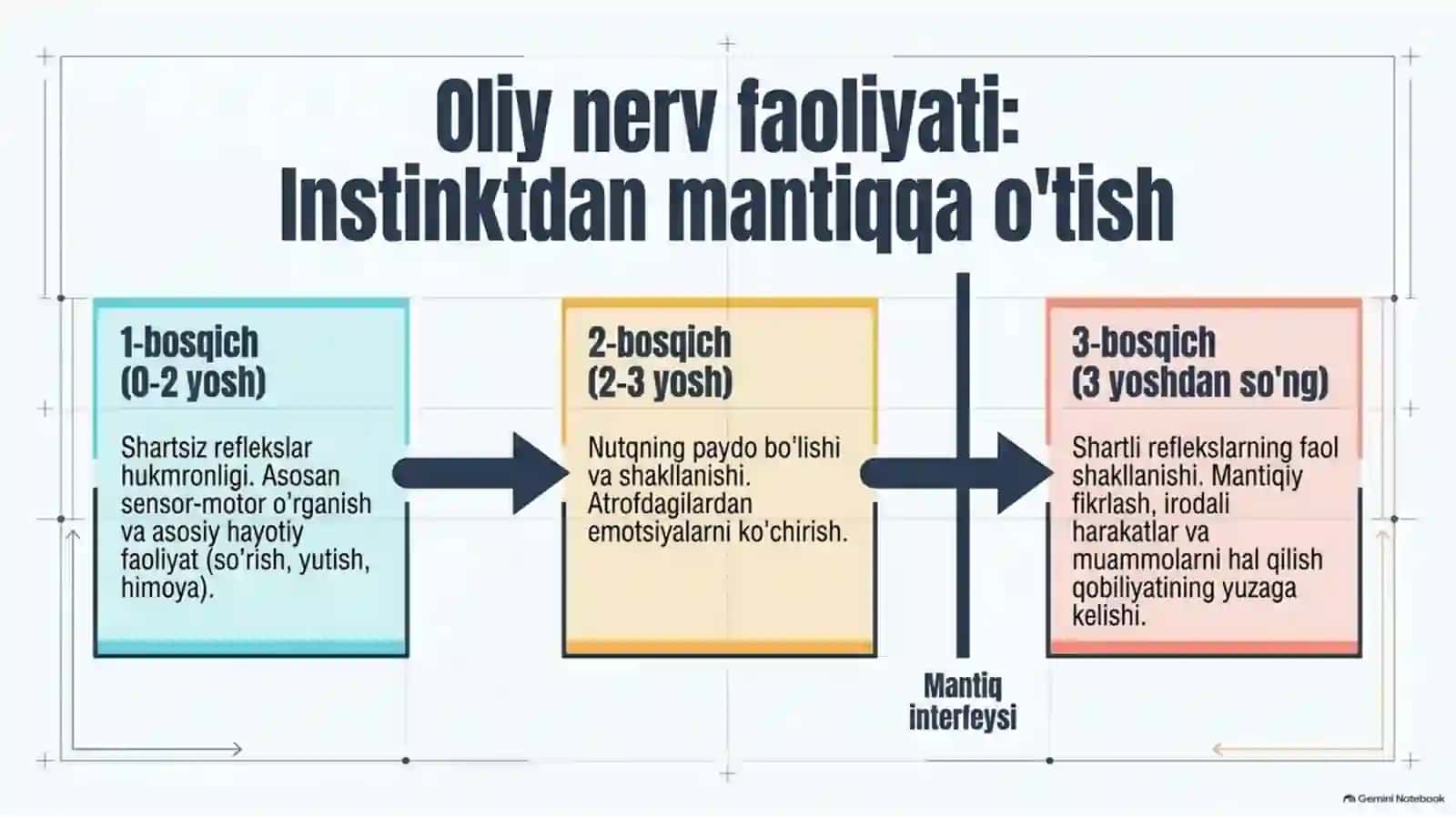 Bolalar yoshiga oid anatomik va fiziologik xususiyatlar — 15 slayd 4