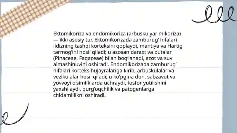Mikoriza va ildiz metamorfozi 4