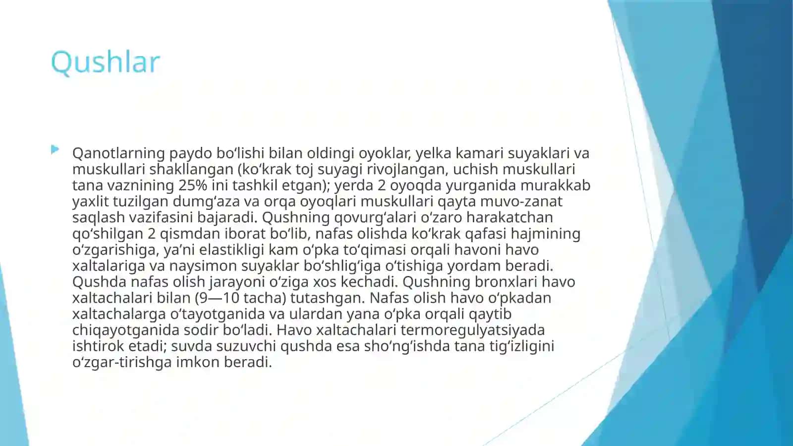 Ko‘chib yuruvchi qushlarning asosiy turlari 4
