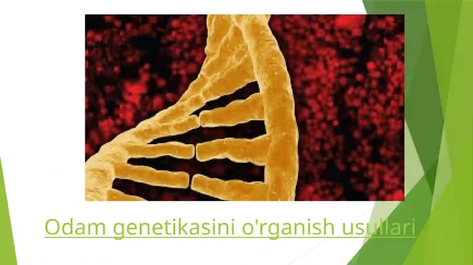 BELGILARNING BIRIKKAN HOLDA NASILGA O’TISHINI AMALIYOTDA ISHLATISH 4