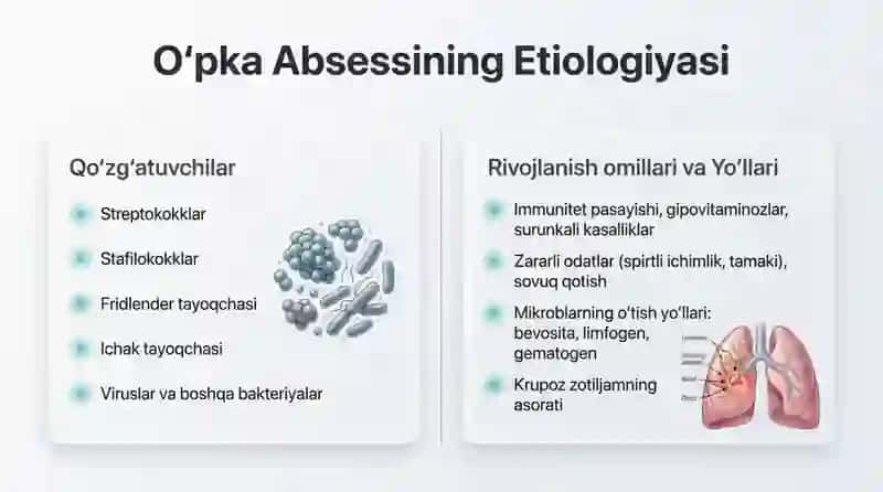Oʻpka Absesslari 4